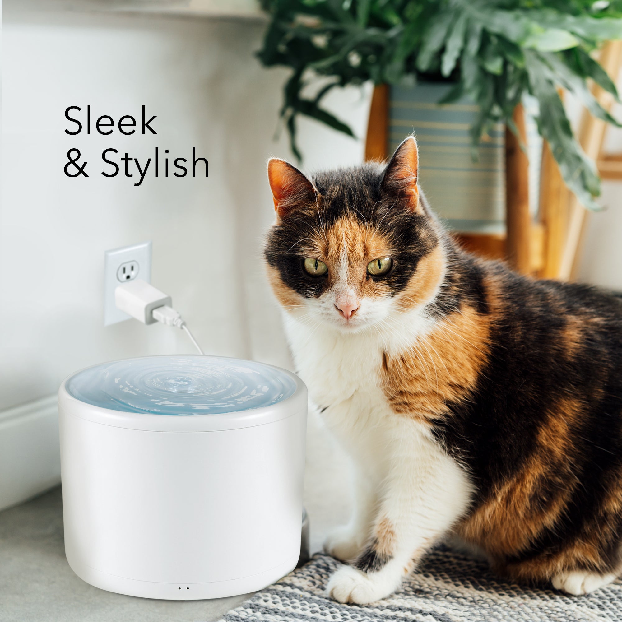 Hommii pet fashion water fountain